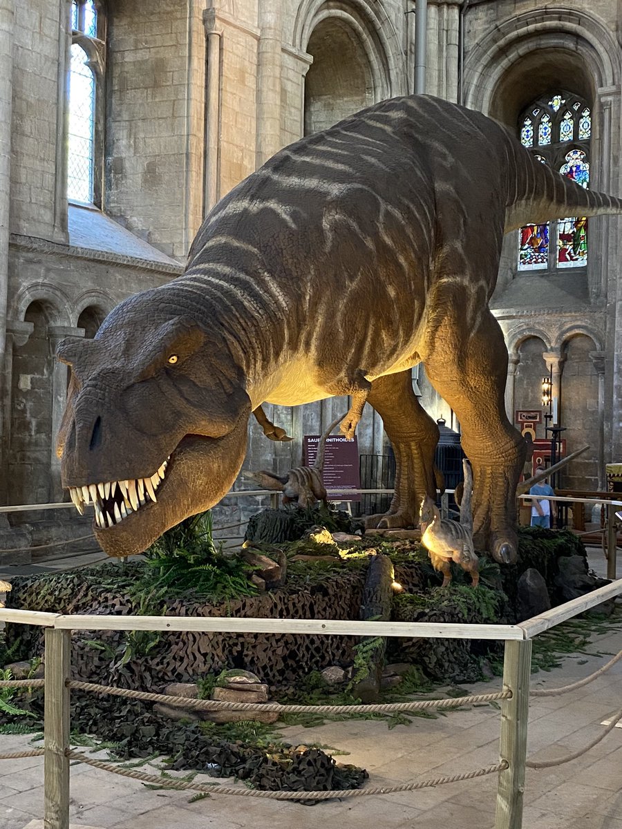 Mum has been to see the dinosaurs. #peterboroughcathedral