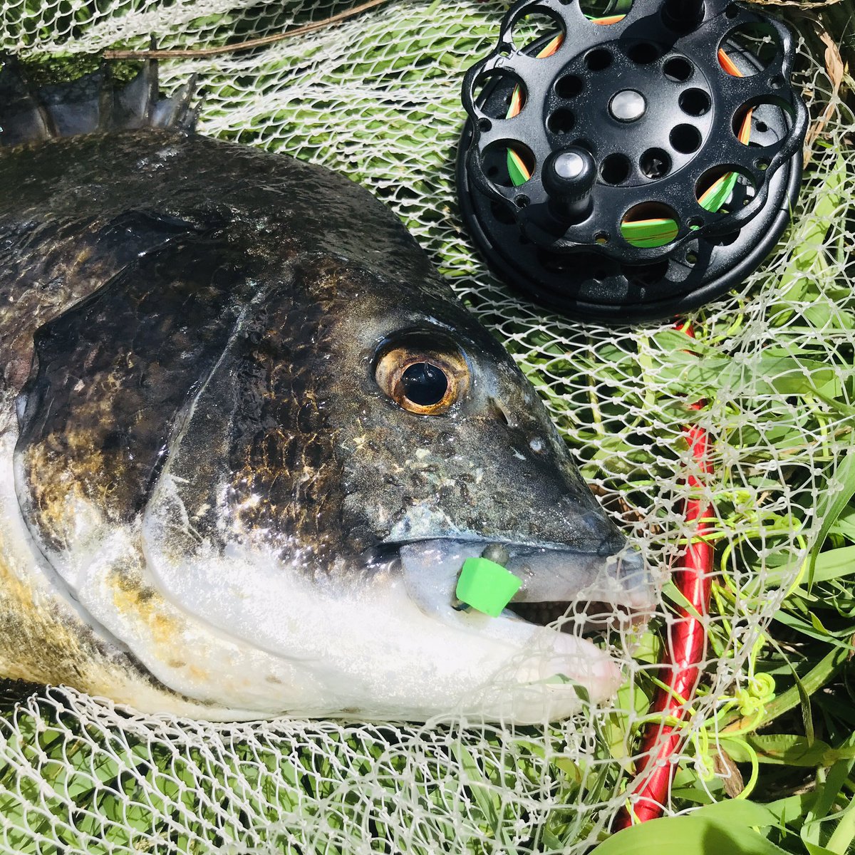 フジリール FPRー25 ！FUJI 落とし込み タイコリール ヘチ