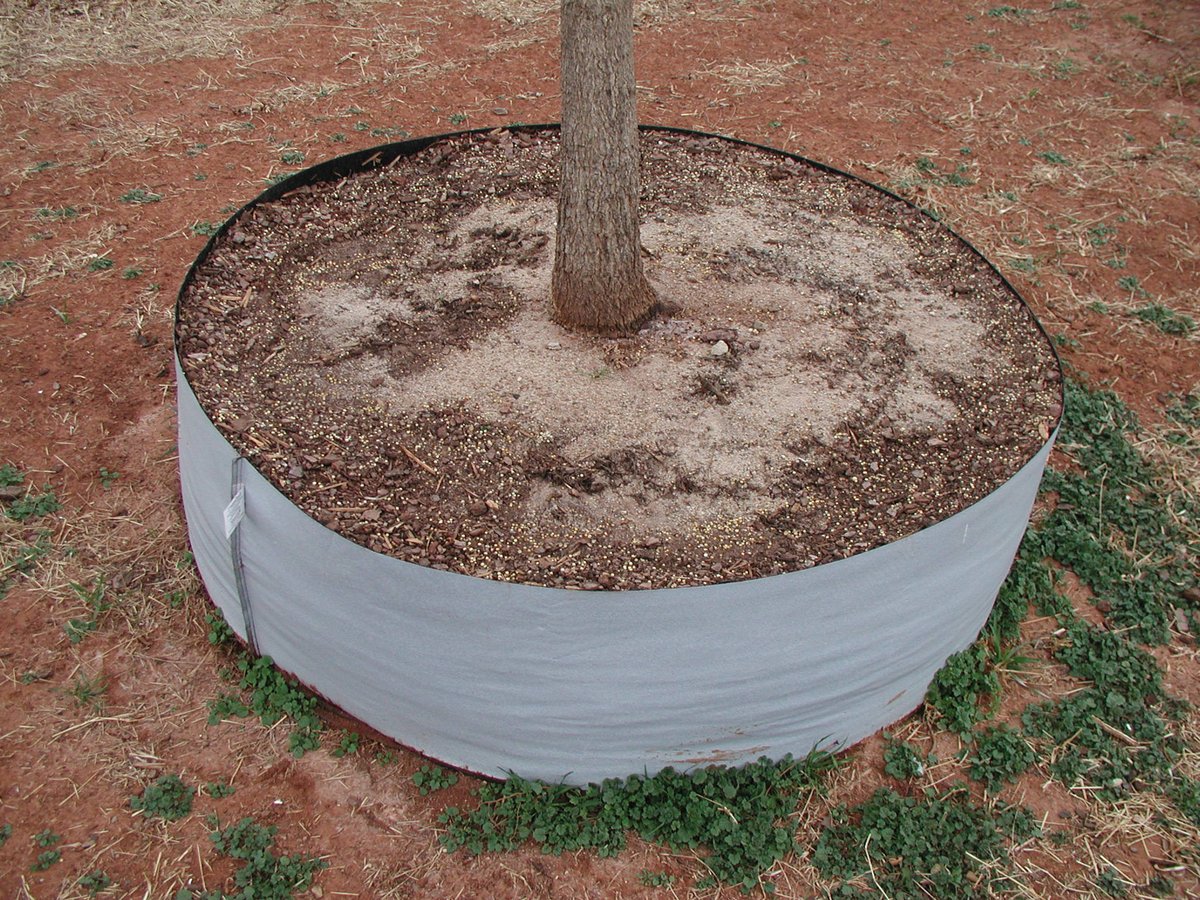 Are you looking for a better solution than wooden box? The RootTrapper 100-gallon container creates an incredible tree and costs less! Root circling and water use are key items of interest to nurseries. The  RootTrapper® grow bags stop root circling #RootTrapper #RootMaker#big