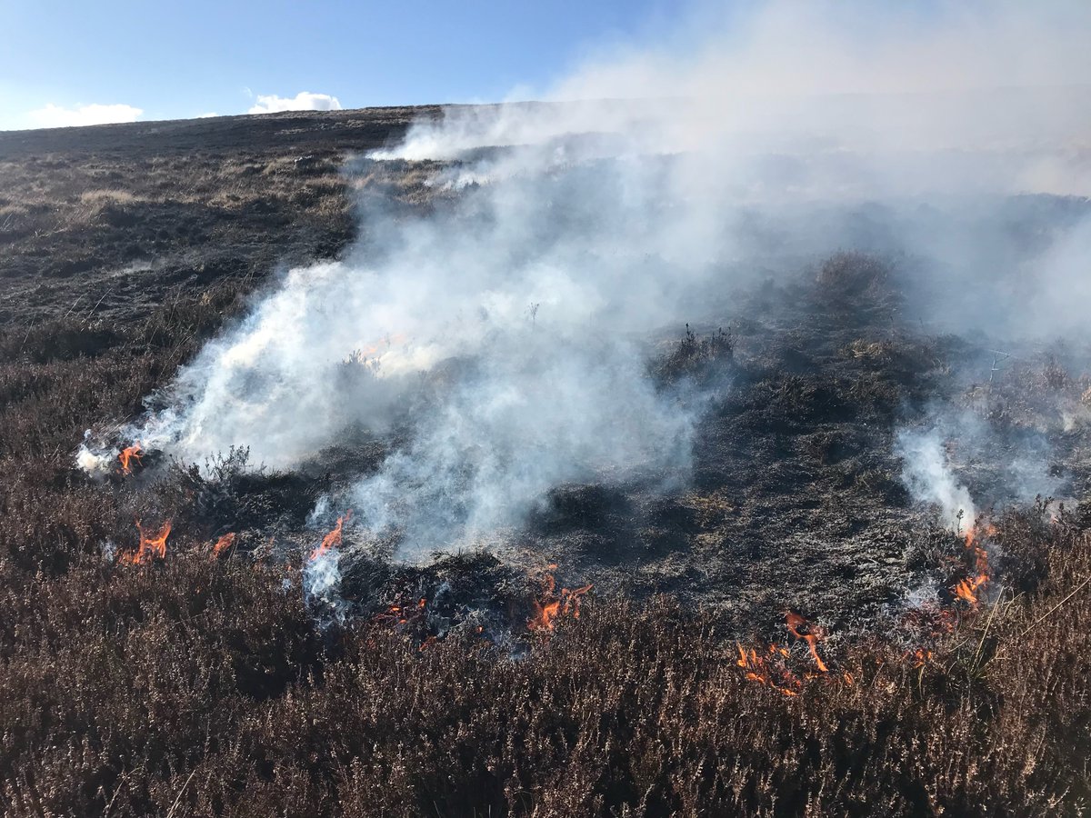 🔥 Hot weather brings a high risk of fires that can endanger people, devastate our wildlife and destroy habitats. 

🚨The NPWS is appealing to the public to to exercise extreme caution over this high risk period ▶️ bit.ly/3zOkBOS

Let's try and avoid more of this... 👇