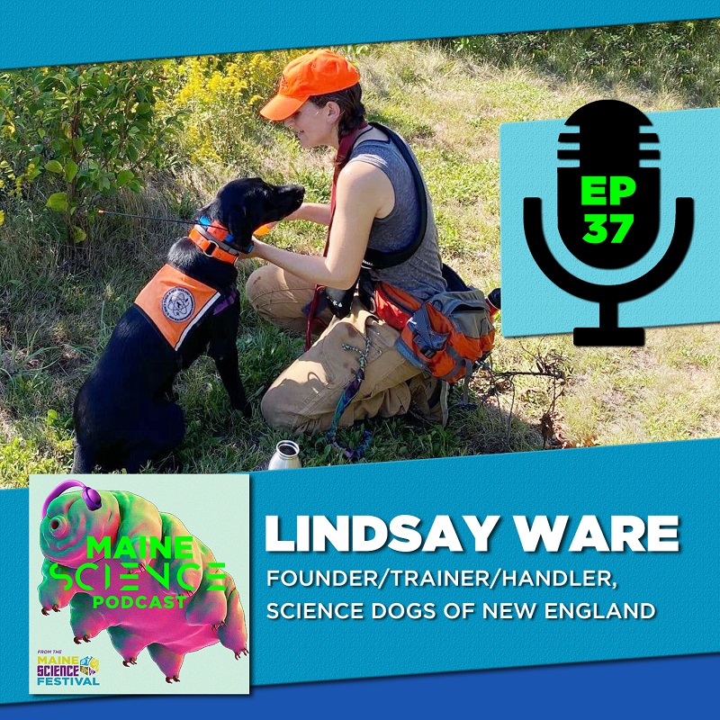 MaineSciencePod's tweet photo. We're back! Our latest episode is a with Lindsay Ware, founder of Science Dogs of New England. She is a wildlife ecologist who has merged her love of wildlife ecology with her passion for dogs. Available in all the podcast places and at the link below!

https://t.co/fYmKbWKrrT https://t.co/rU4AxqYLMj