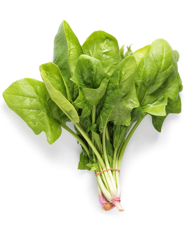 UA System Div of Ag (@aginark) on Twitter photo Pythium is a dirty word for farmers in hydroponics, from the tropics to the arctic and outer space.
See what <a href="/ArkAgResearch/">Arkansas Agricultural Experiment Station</a> is doing to help spinach and arugula.
bit.ly/Pythium-Resist… Pythium is a dirty word for farmers in hydroponics, from the tropics to the arctic and outer space.
See what <a href="/ArkAgResearch/">Arkansas Agricultural Experiment Station</a> is doing to help spinach and arugula.
bit.ly/Pythium-Resist…