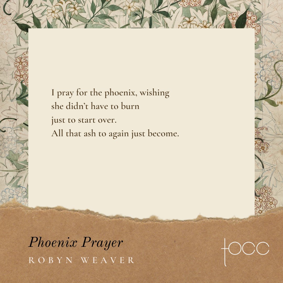 Today’s feature by the talented Robyn Weaver is named after the mythical bird that symbolizes rebirth and continuity. With its ritualistic tenderness, the poem inspires a sense of silent hope. Read it at the link: toccollective.wixsite.com/tocc/lore-poem…