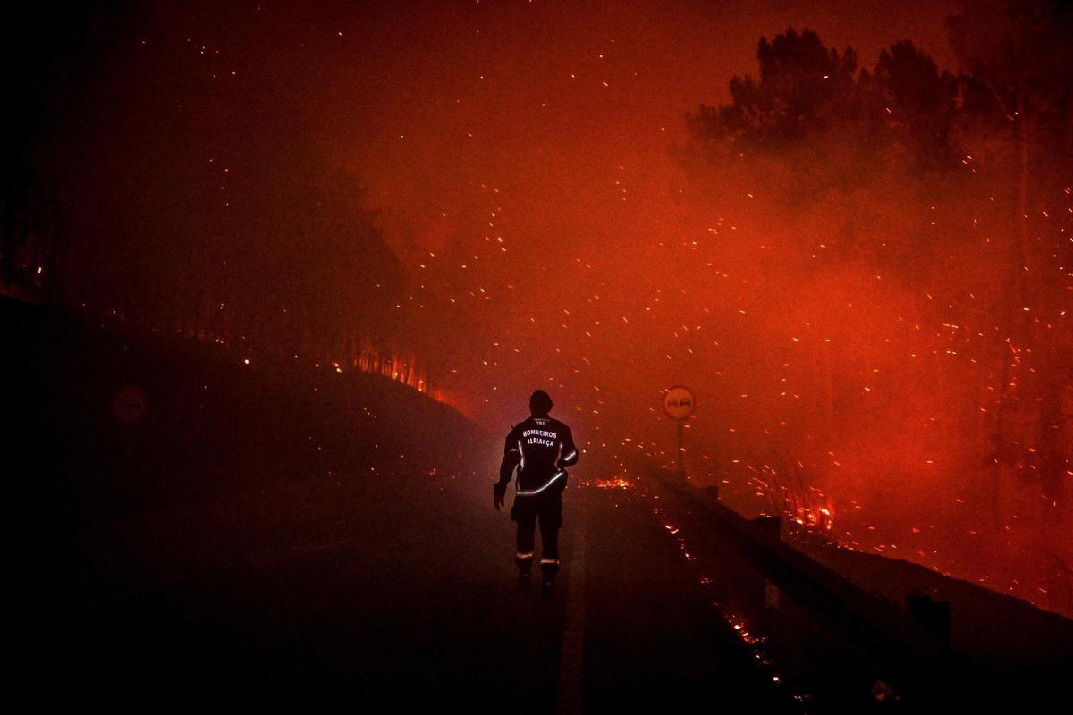 todos_portugal's tweet photo. 🔥🇵🇹| Plus de 1500 pompiers combattent actuellement le terrible incendie de Serra da Estrela.

Forces et courages à nos héros !🙏🏼 https://t.co/xJ3eGmmKVE