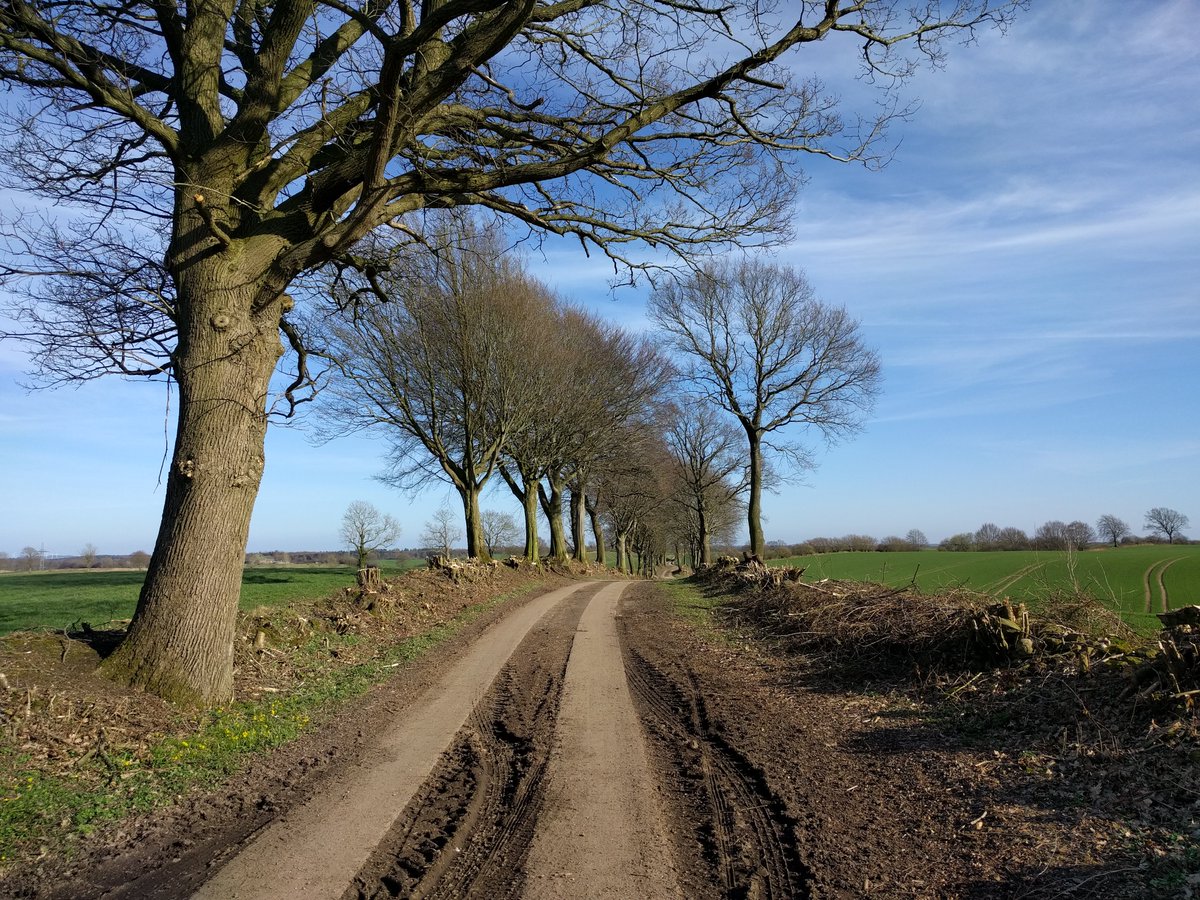Neue Publikation "#Kohlenstoffzertifizierung in der #Agroforstwirtschaft?! Daten und Kriterien zur #Kohlenstoffzertifizierung mit vielen Literaturangaben #Knicks #Hecken #Wallhecken #Wurzelstöcke
buel.bmel.de/index.php/buel…