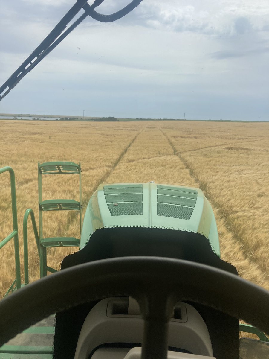 Might need a smaller header for my combine. #harvest2022