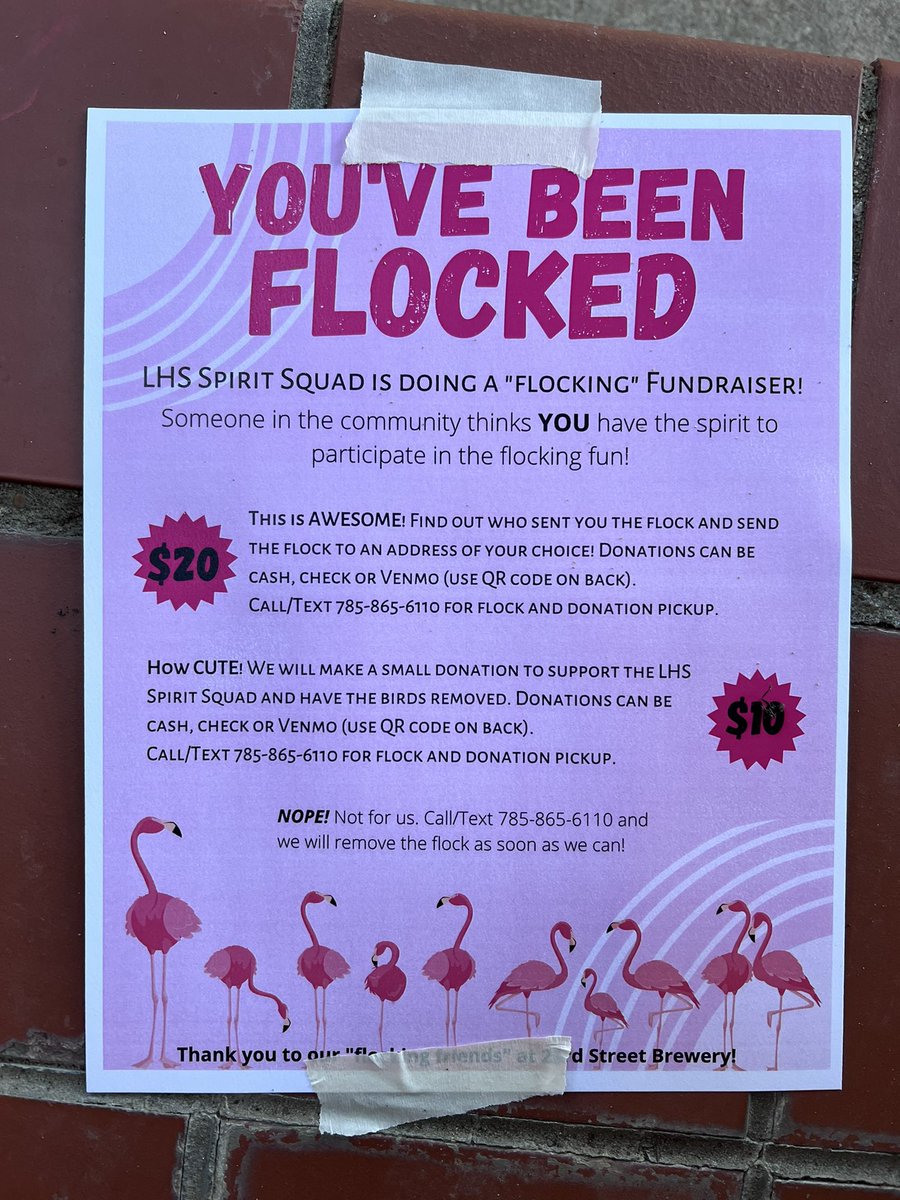 LHS_lionssoccer's tweet photo. Woke up to a Flock of Flamingos! We’ve been Flocked by @LawrenceSpirit ! Watch out! You may be next. 🦩 https://t.co/0s7hQo5yl2