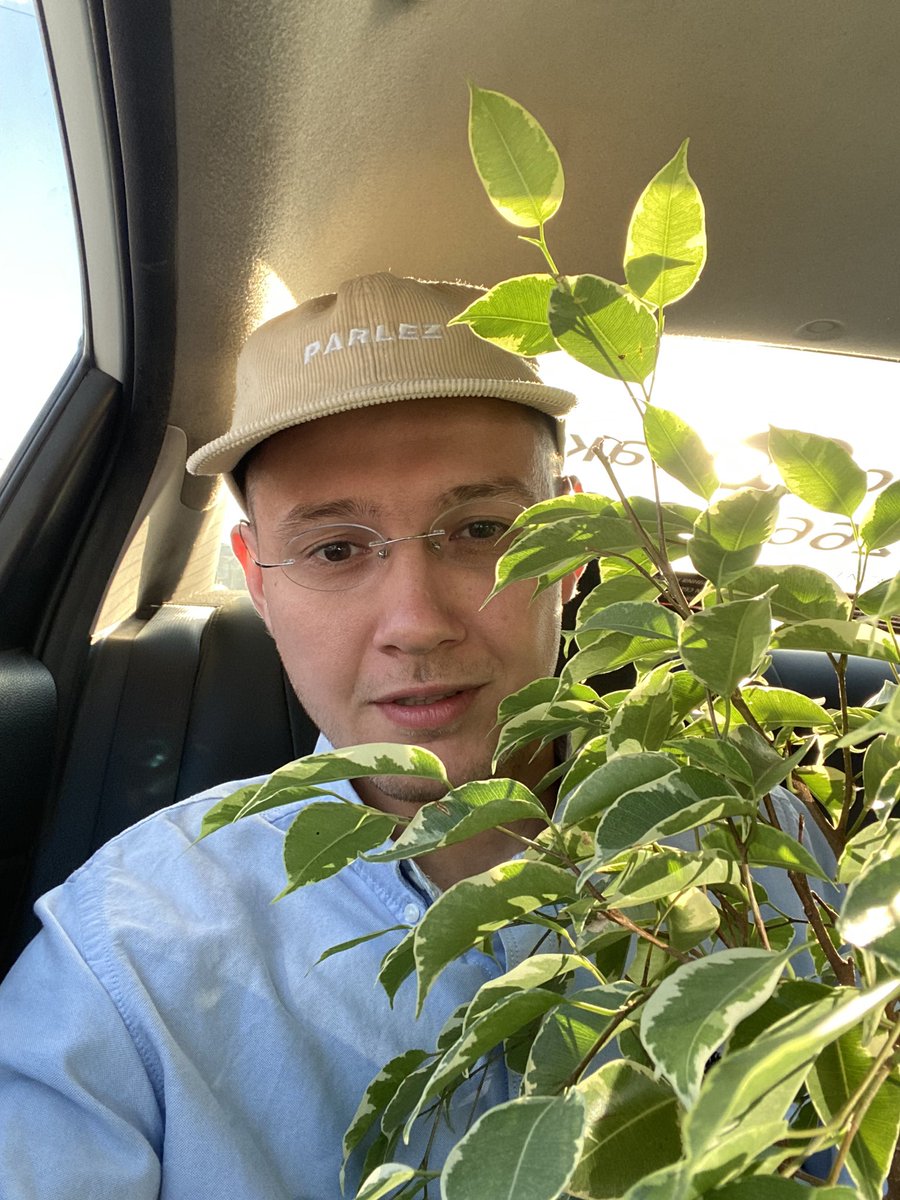 Robinbo59645291's tweet photo. Фикус должен расти на западе https://t.co/9wfclAmAlx
