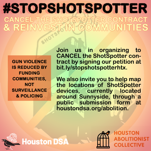 Houston DSA tweet media