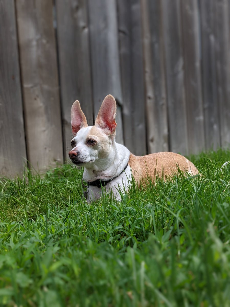 Kerri Breen tweet media