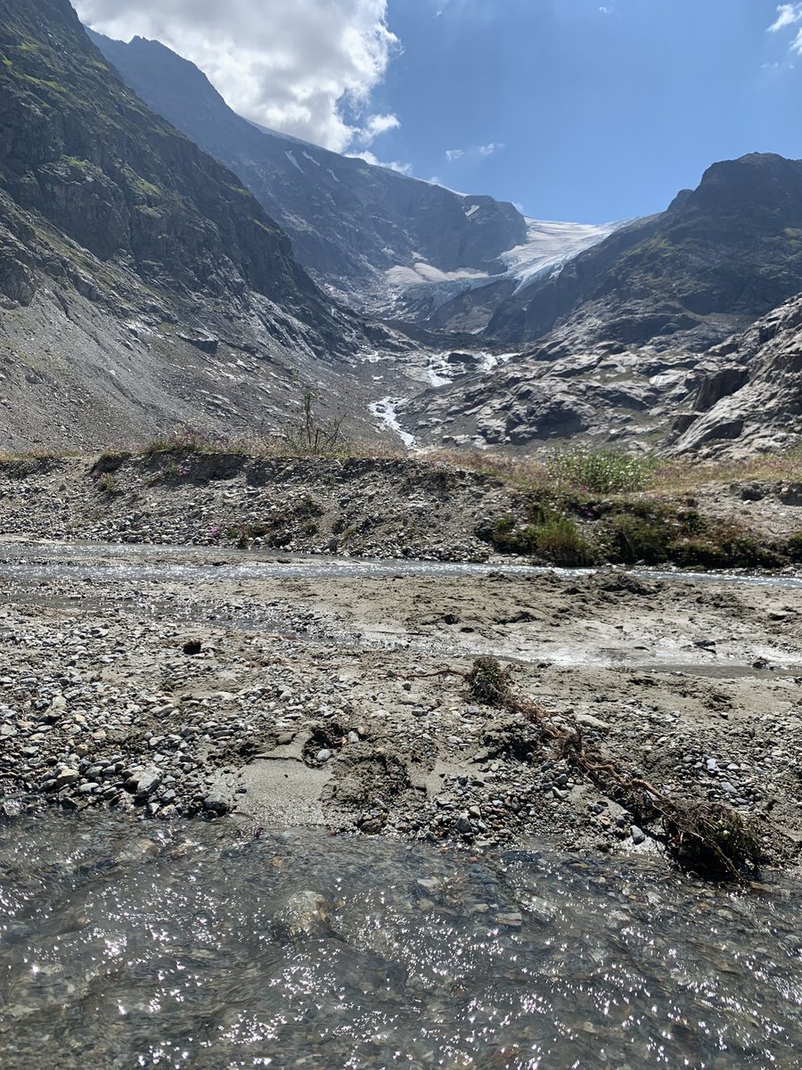 Es gibt ihn noch den Steingletscher am Susten. Aber der Substanzverlust ist selbst für Laien ersichtlich. Da ergiessen sich Ströme von Wasser talwärts. #Gletscher #Klimawandel <a href="/glamos_ch/">GLAMOS</a>