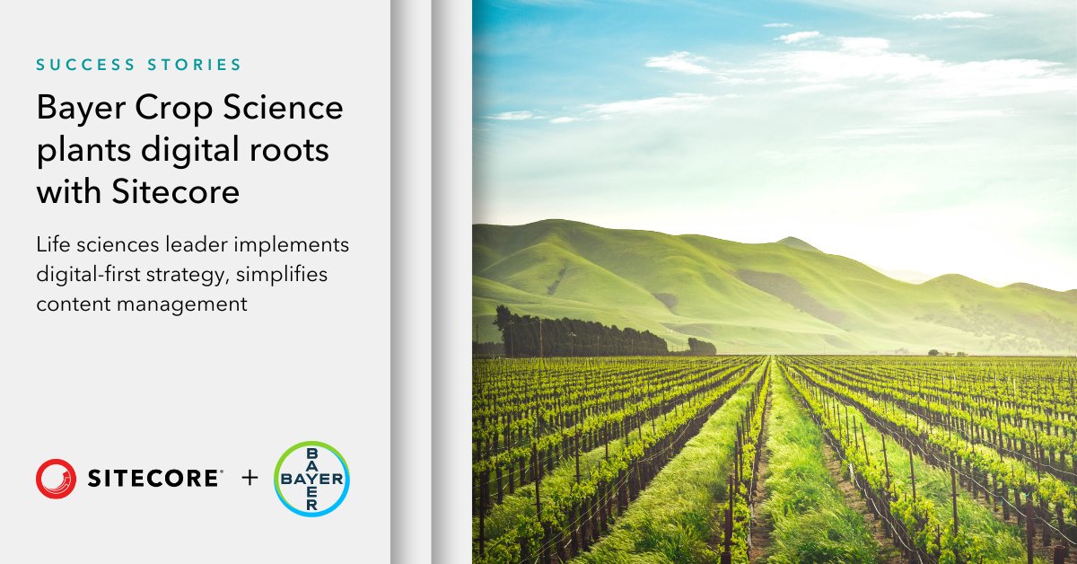 Sitecore's tweet photo. A completely new #website aligned with the their #digitalstrategy ✔️More #content and timely customization✔️ This is the new reality for @Bayer4Crops' #marketing team, thanks to the help of our #Sitecore #Italy team and partner @Cegeka.

💡Details here: https://t.co/cxrVwYK17E https://t.co/GXJrGhW6BT