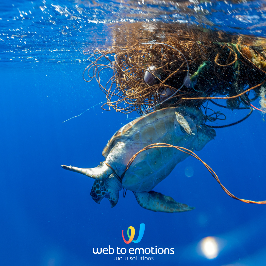 🐢 Il rispetto per l'ambiente che ci circonda non va mai in vacanza, ricorda di attuare comportamenti sostenibili anche durante la pausa estiva.

☀️ Tutto il team di Web To Emotions vi augura buone ferie e buon Ferragosto!