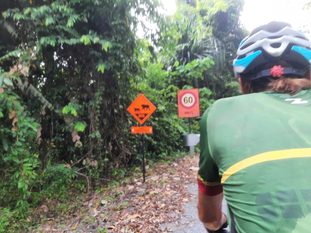 StelaTandem's tweet photo. Wildlife crossing sign approved 👌
#deersign https://t.co/a7LuImRAAt