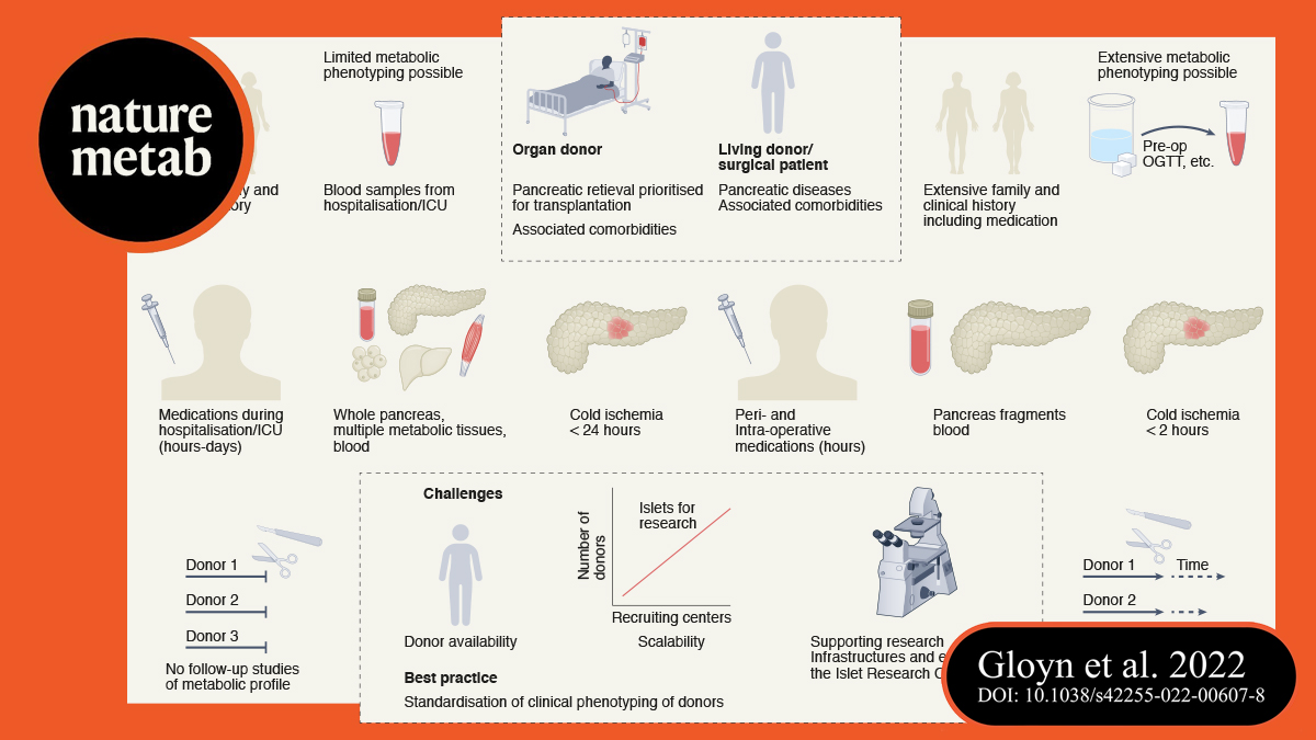 Paul Langerhans Institute Dresden - PLID (@plid_info) on Twitter photo We are delighted to share our latest perspective on the importance of collaborative human islet research in elucidating the pathophysiology of all forms of #diabetes which is published <a href="/NatMetabolism/">Nature Metabolism</a>. (1/13)
➡️ nature.com/articles/s4225… We are delighted to share our latest perspective on the importance of collaborative human islet research in elucidating the pathophysiology of all forms of #diabetes which is published <a href="/NatMetabolism/">Nature Metabolism</a>. (1/13)
➡️ nature.com/articles/s4225…