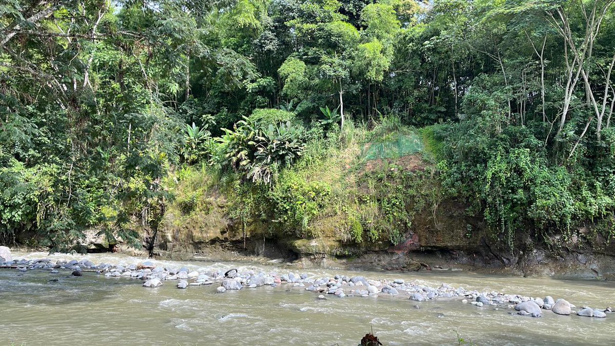 ingrid_pollen's tweet photo. @AASPTPS @AASP_Manizales The post-@AASPTPS meeting day had a good start with workshops and field trip @AASP_Manizales @udecaldas #Colombia #hybrid https://t.co/6oybI7pEZG