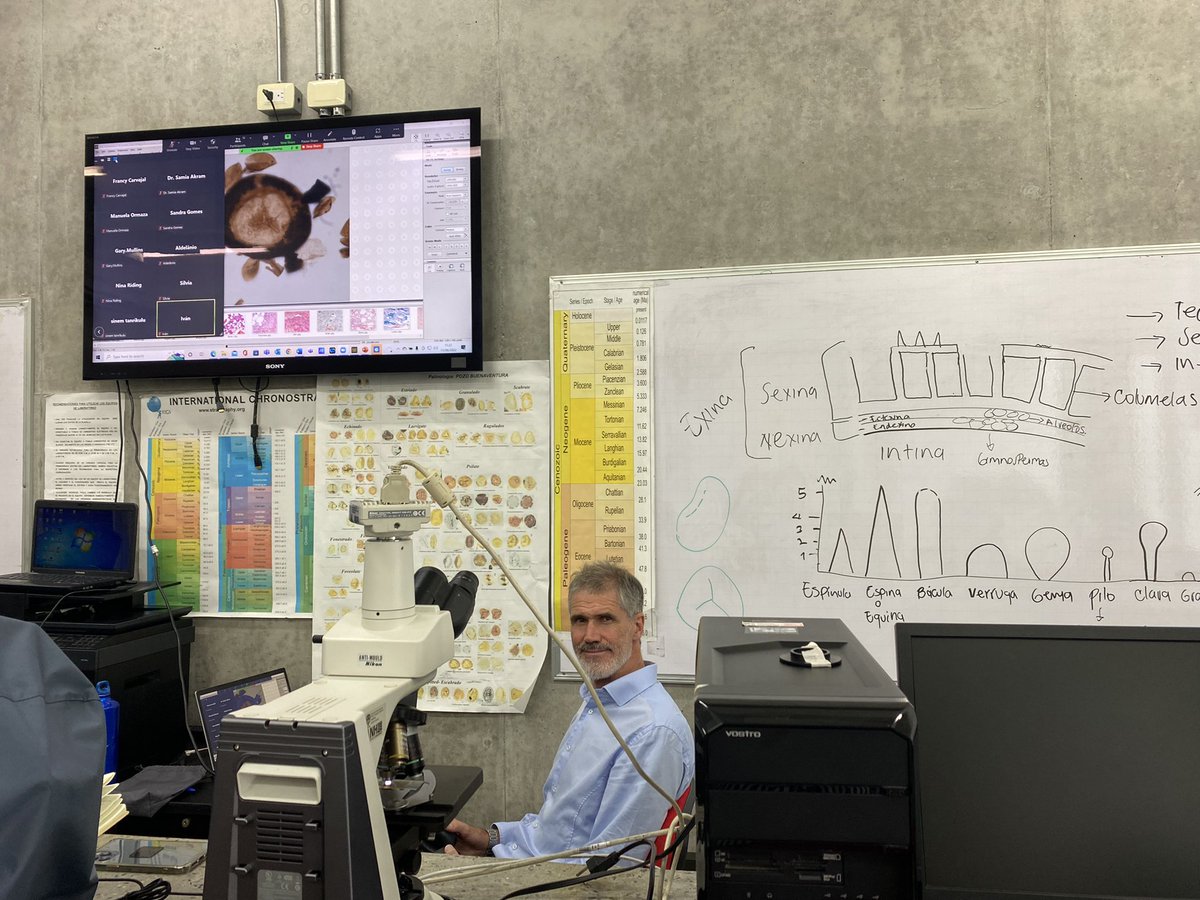 ingrid_pollen's tweet photo. @AASPTPS @AASP_Manizales The post-@AASPTPS meeting day had a good start with workshops and field trip @AASP_Manizales @udecaldas #Colombia #hybrid https://t.co/6oybI7pEZG