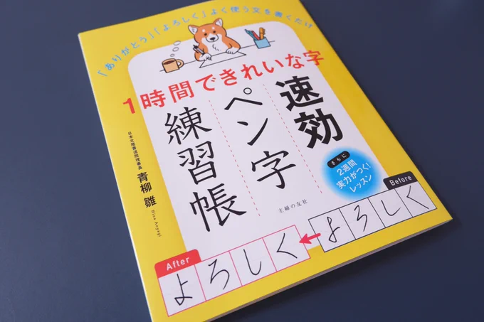「1時間できれいな字 速攻ペン字練習帳」(青柳雛さん監修/主婦の友社)にて、表紙イラストを担当しました。ペンを持つ柴犬です。デザインはソウルデザインさん。#ペン字 #美文字 #青柳雛 #主婦の友社 