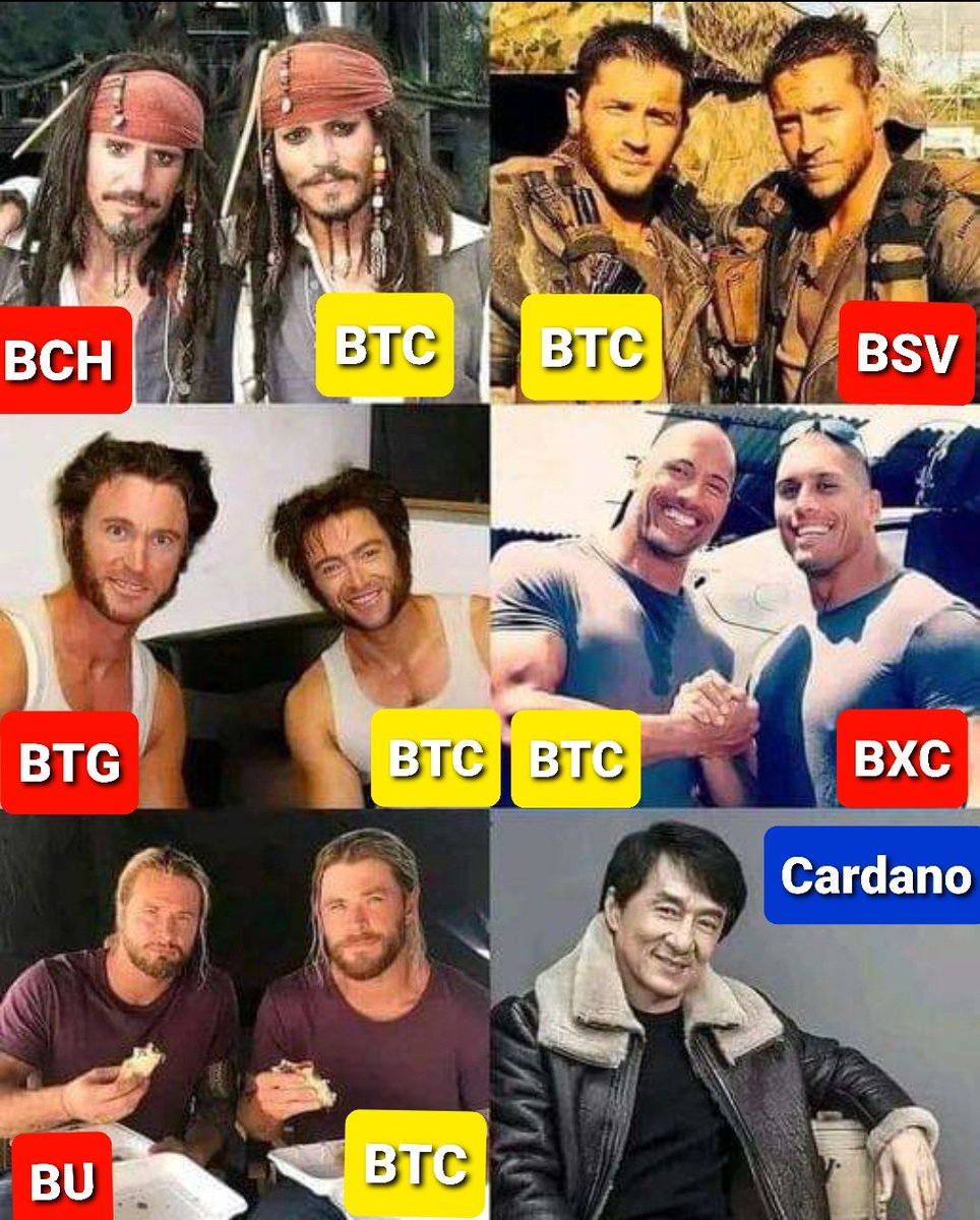 CriptogirlB's tweet image. All cardano hard forks were perfectly implemented, the network did not feel it. The same will be with the next one, that&apos;s the trend, right?
#Cardano
#CardanoVasil 
#CardanoCommunity