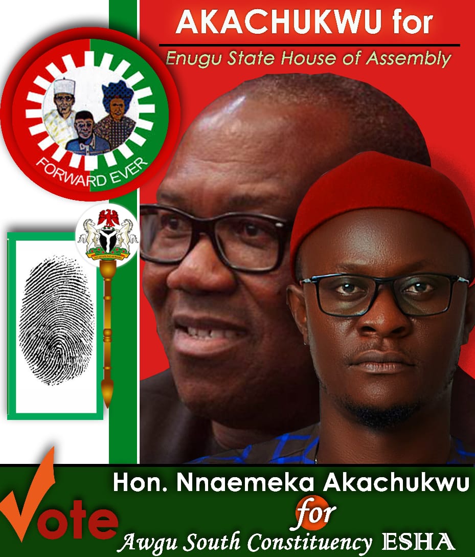 ObuteIfeanyi's tweet photo. @NgLabour @NGRLabourParty @ObiSupport @PeterObi I follow for a reason... We don't follow blindly. #OBIdientlyYUSful family, RT and like. We're not gullible followers... https://t.co/79txXHgN6y