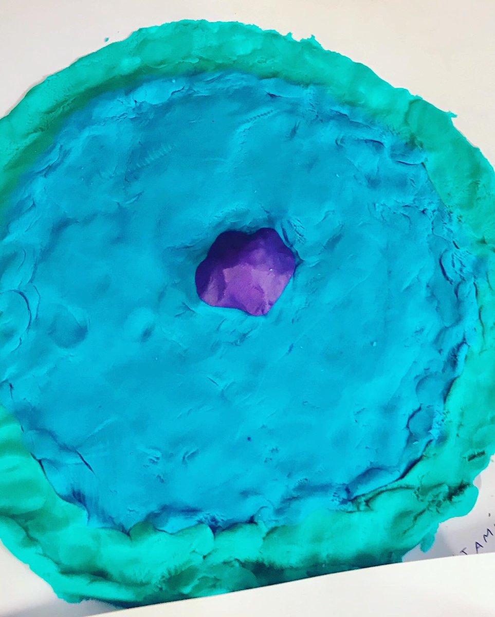 MiNICAD_Chile's tweet photo. The Cell through the eyes of 4th grade primary students of Liceo #131 located in Buin (Región Metropolitana, Chile)   

Thank you @Hasbro for the @PlayDoh donation that allowed us to crate this activity 👏🏼👏🏼

@min_ciencia @CentrosAnid @Mineduc https://t.co/MHA2dA5ZKA