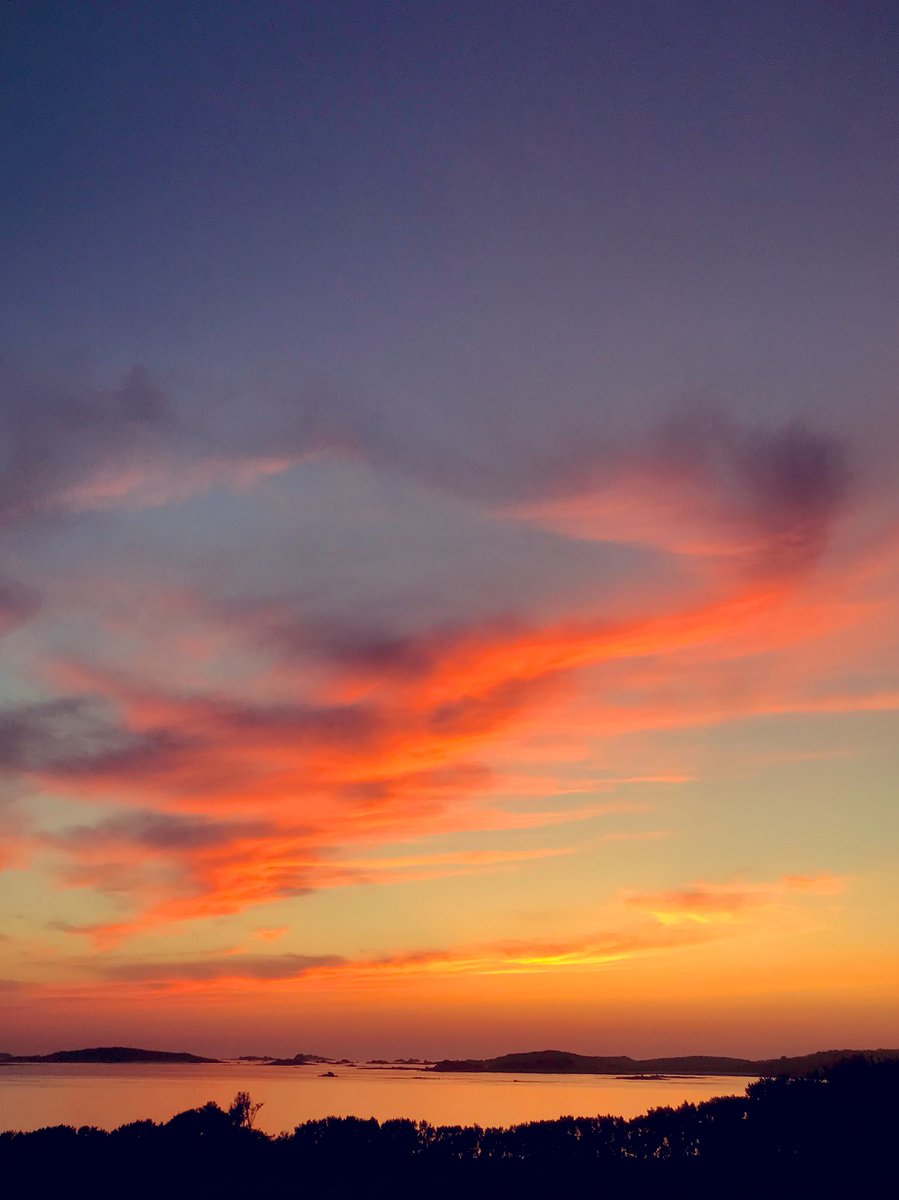 munkrunkey's tweet image. We lived in Arizona