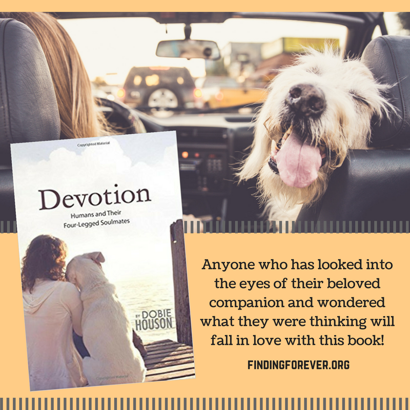 #Devotion is an amazing book for #dog lovers! Heartwarming true-life stories of humans and their four-legged soulmates that raise funds for animal rescue! ow.ly/kTNg30slWs1 #dogs #petslove #dogsoftwitter #Adopt #dogs #LoveofaDog