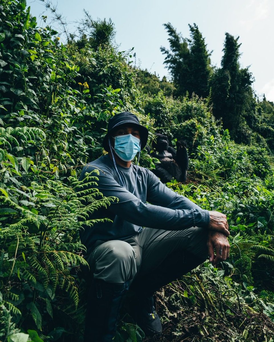 SirLewisUpdates's tweet photo. 📷 Lewis via IG:"My second stop was Rwanda, where we hiked up a volcano to see gorillas in their natural habitat. It was mind blowing. They were so calm and beautiful, getting that close to them was a surreal experience that I will never forget..." https://t.co/xSVXKhHzce