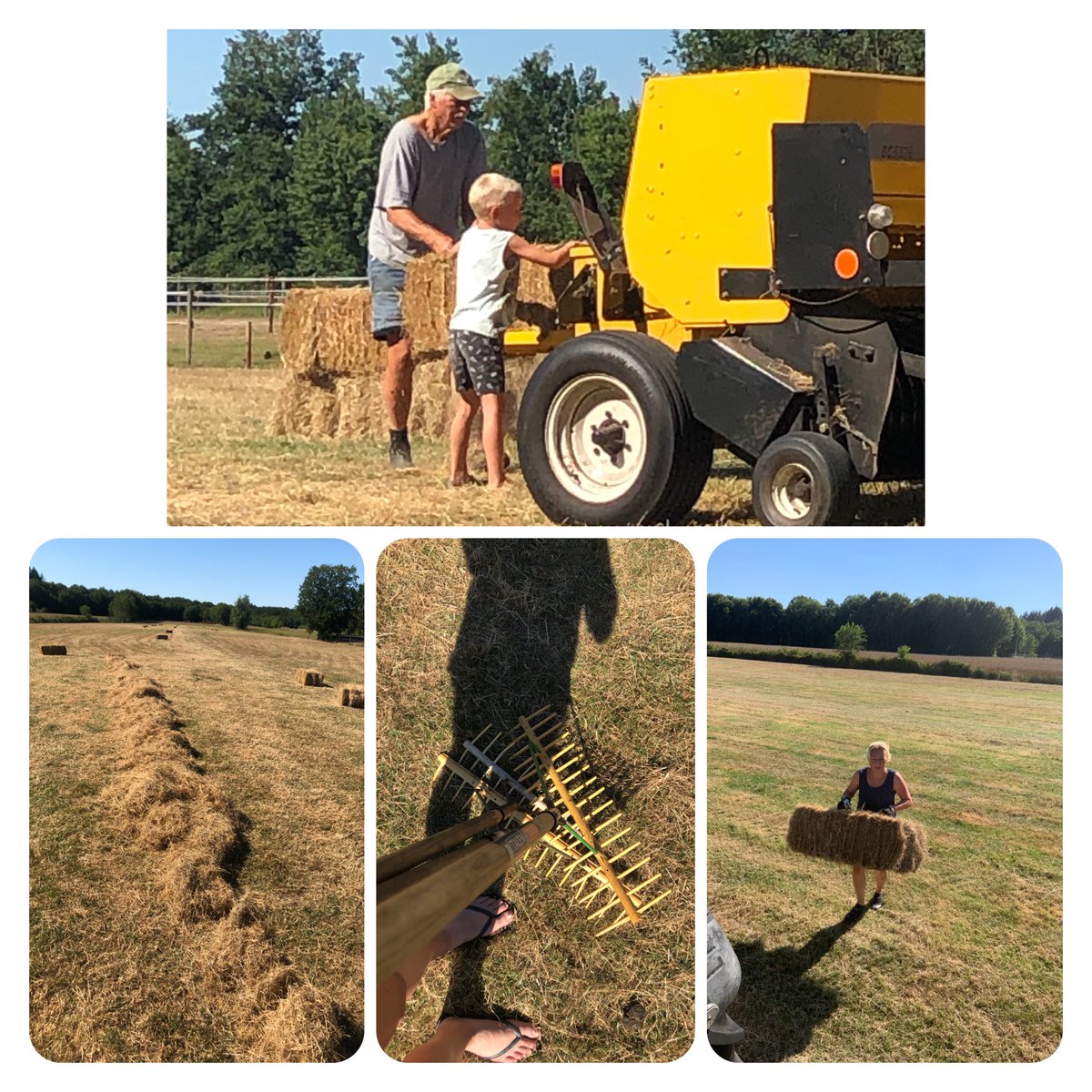 wilmalensen's tweet photo. Voor al mijn collega’s die denken dat ik vakantie heb, dat ik lekker met een boek en een luchtbedje op het water lig en dat ik uitgerust weer terug kom als mijn vakantie erop zit. Dat is NIET waar! 

Ik herhaal: DAT IS *NIET* WAAR!

#hardwerken #bloodyhot #TrotsOpDeBoer https://t.co/aY5uFhQ8WA