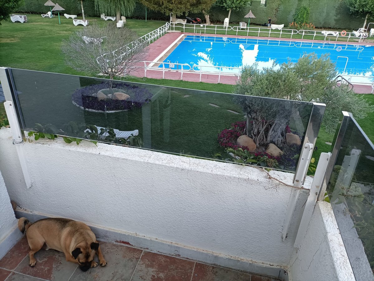 Pedro_Arancon's tweet image. Por más hoteles #PetsFriendly