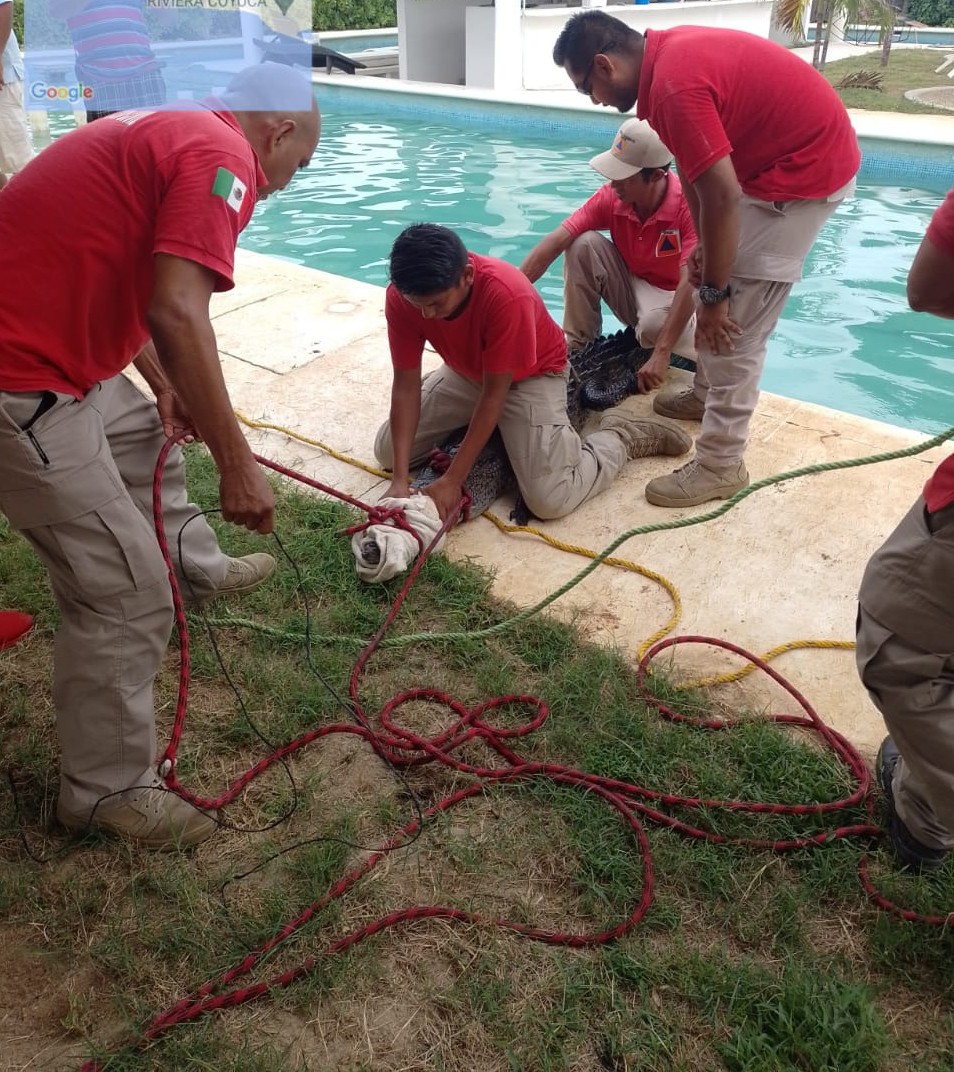 Cuadrante Azul tweet media