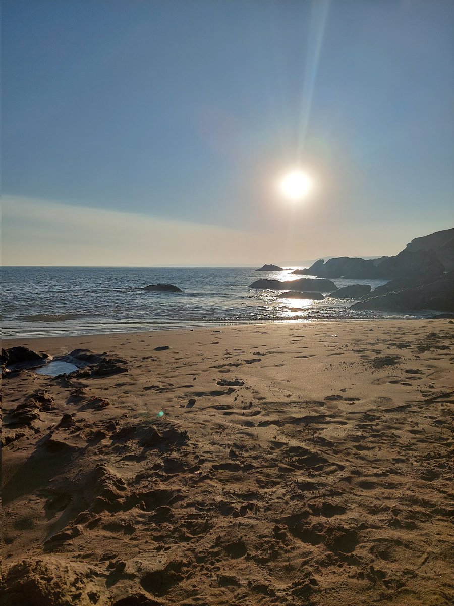 Dr. Kimberley Bird tweet media