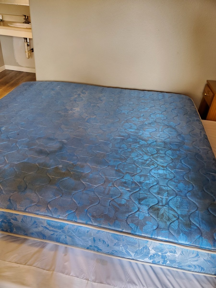 Jessica Prater tweet media