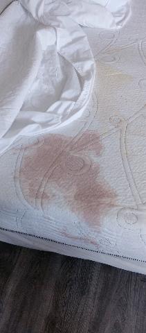 Jessica Prater tweet media