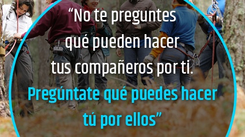 GoMind CR tweet media