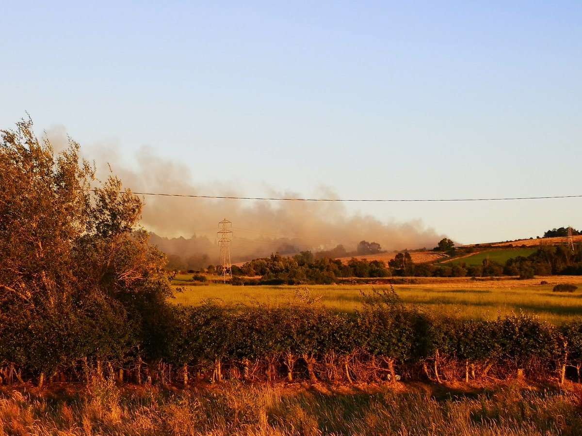 Grass fire at Dams to Darnley Park tonight