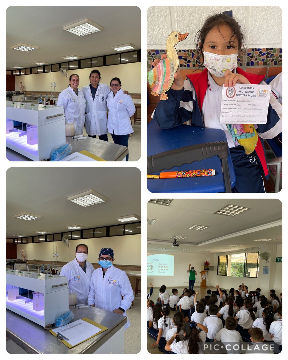 Cadena Ambiental UNAD tweet media