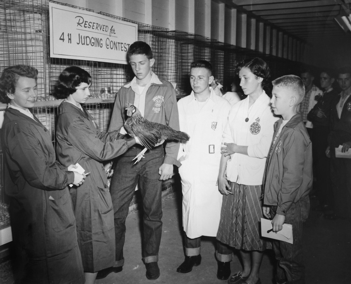 palmbeach4h's tweet photo. #TBT @Florida4H poultry projects 1954.
#4H roots run deep! #palmbeach4h is starting a poultry judging club. If you are interested, contact our office today!
Photo credit: Smather's Archives @uflib
#FindYourSpark #InspireKidsToDo #Opportunity4All #poultryjudging #poultry https://t.co/sHW1suY3F7
