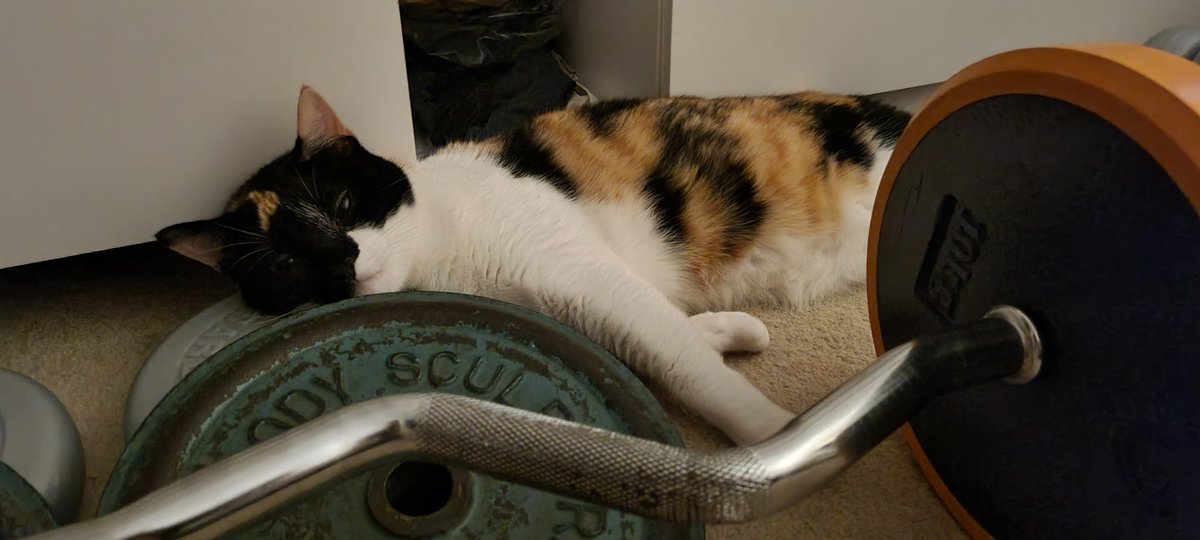 ripxdoc's tweet photo. for my baby that just uses random shit as a pillow; https://t.co/9u94NcByOf