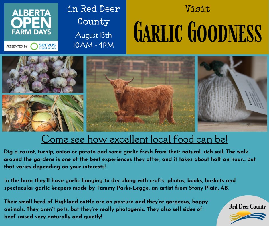 Check out Garlic Goodness today as part of <a href="/OpenFarmDays/">Open Farm Days</a> and get the locally grown garlic goodness your dinner deserves!

Get the full list of participating farms and plan your trip at albertaopenfarmdays.ca