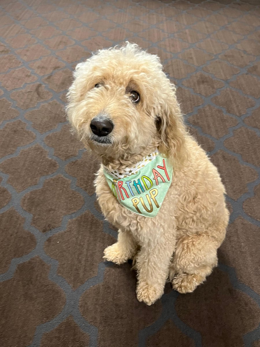 Forest Springs HC tweet media