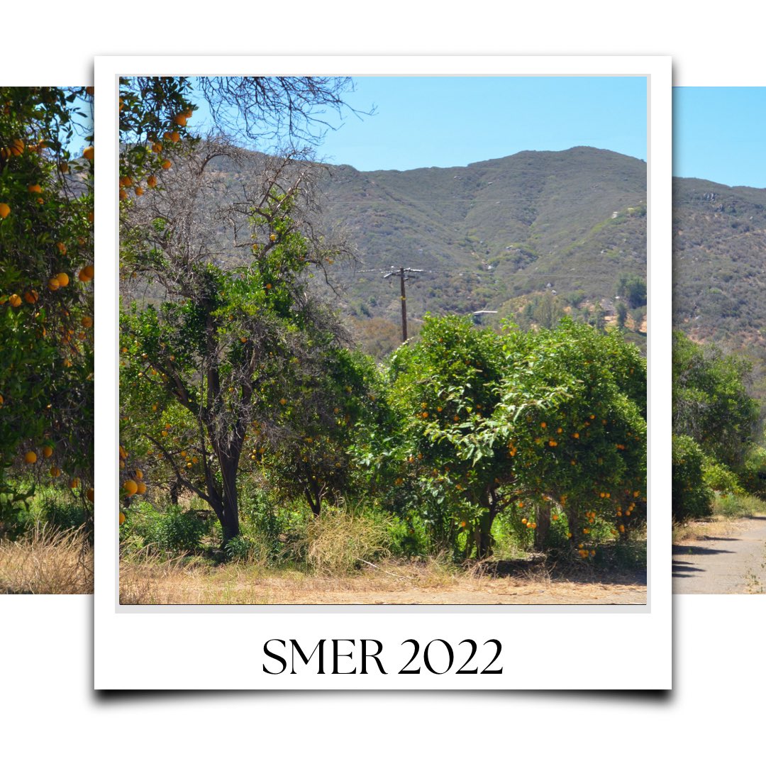 From our trip to SDSU Santa Margarita Ecological Reserve 🍊 🥑 🌳  check out your their website ! fsp.sdsu.edu/about-us/?gcli…

Photography by Ayleen Avendano (ayleenavendano.wixsite.com/mysite)
 
#throwbackthursday #tbt #BrightSideProduceSD #brightsideproducesd #freshproduce #sandiego