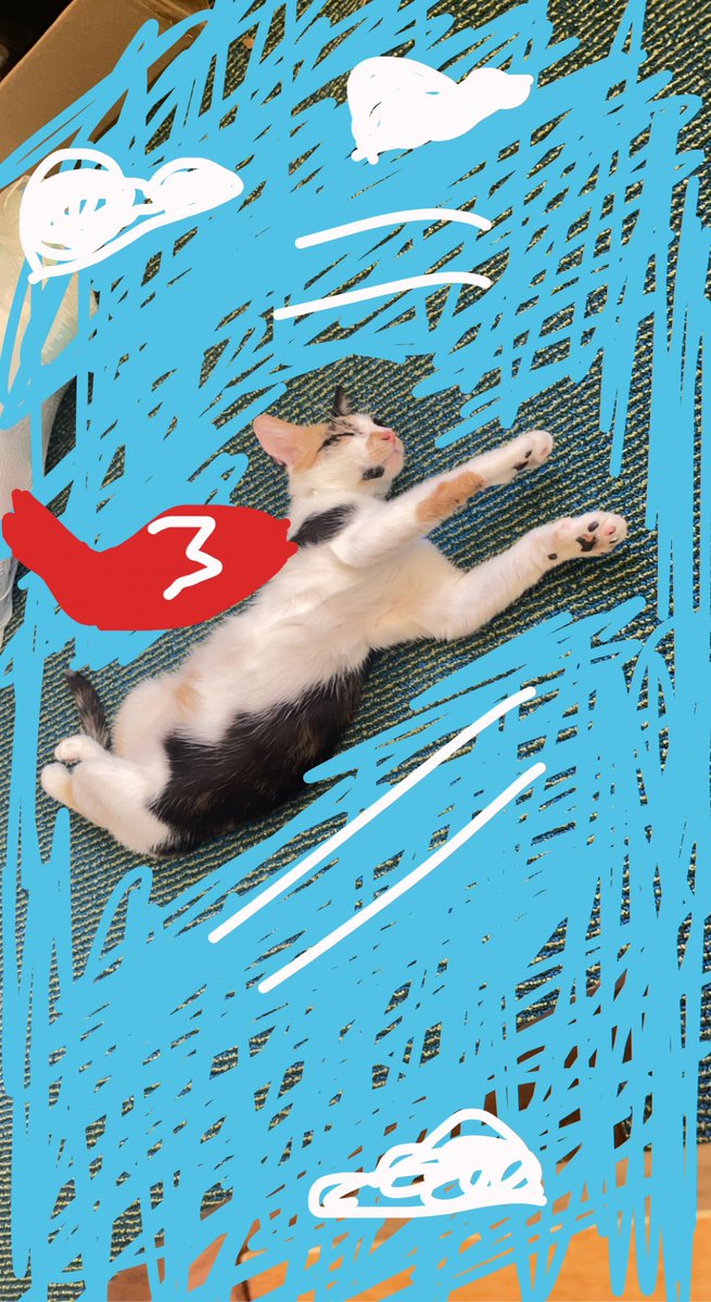 @claudrosewrites okay similar but using Snapchat and my impeccable art skills 🥴 love that we all have big dreams for our pets lmao