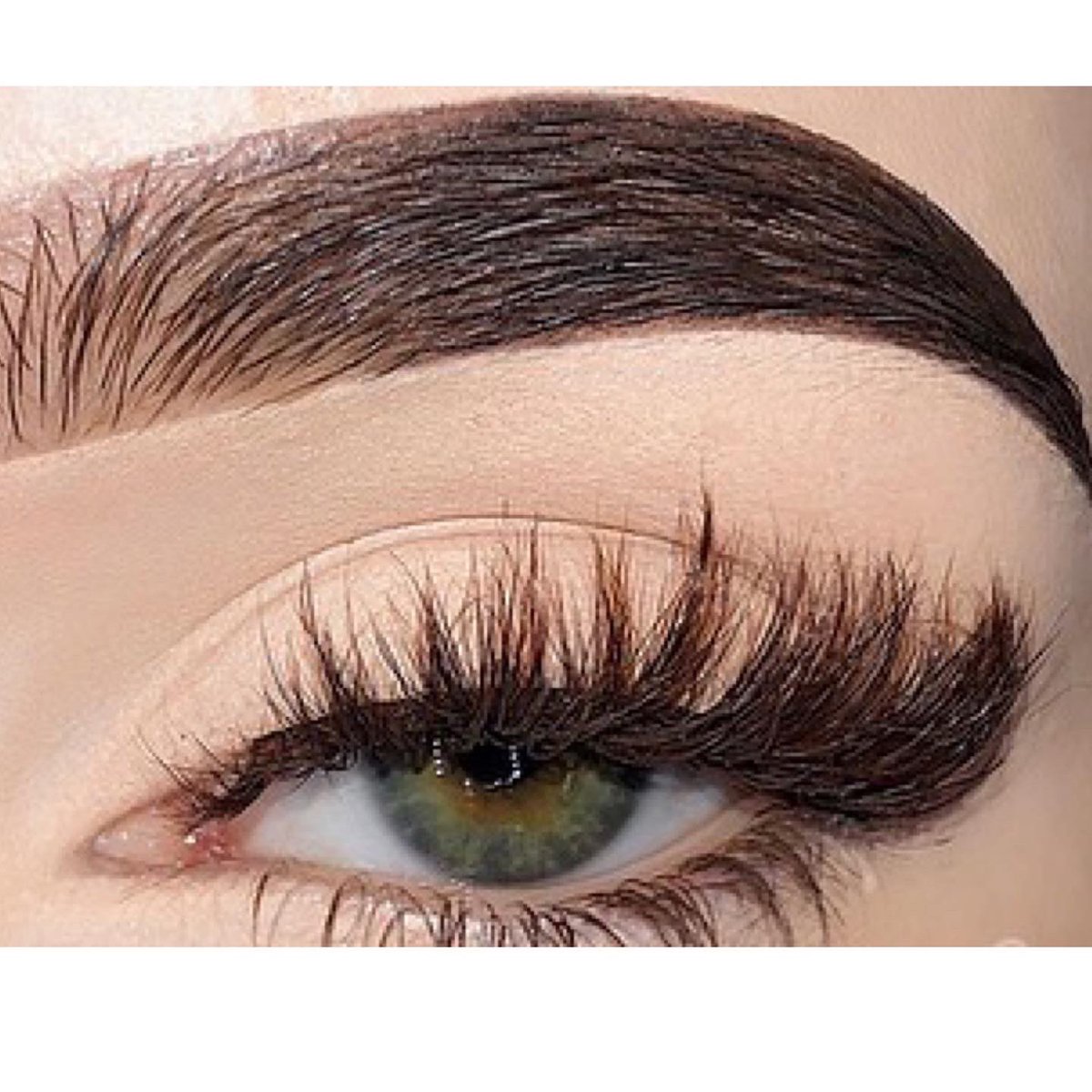 KattGlam_'s tweet photo. Our lashes in the style Honey🤎 #minklashes #SmallBusiness https://t.co/dYObmKjsPg