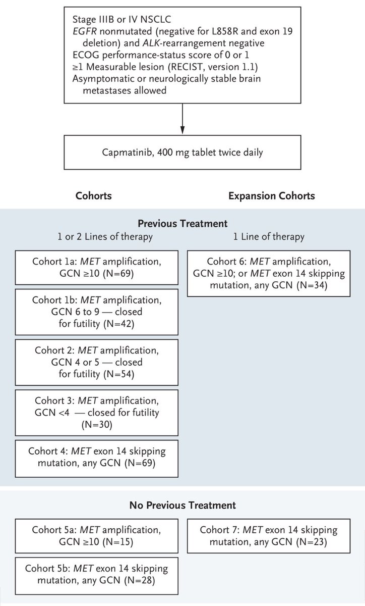 OncBrothers's tweet photo. #Capmatinib gets regular @US_FDA approval for mNSCLC w/ MET exon 14 skip mutation. 

#GEOMETRYmono1: 1L and pre-treated patients 

- ORR 67.9% in 1L and 44% in pretreated pts. 
- AEs: edema, nausea, and fatigue

#LCSM #MedTwitter #OncTwitter @NovartisCancer #OncEd https://t.co/mb4Q3UyJIF