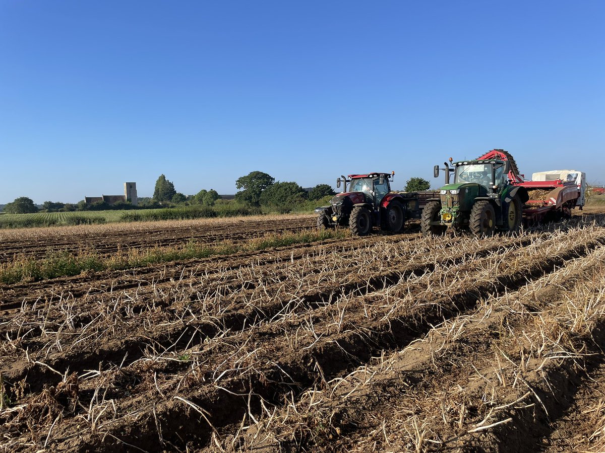 Lots of lorries leaving today! And lots of enquiries about potatoes for next week! Have retailers and processors now calculated the reality of a shortage caused by the drought? Has the industry cleared the last of the old crop? Hopefully both #suffolk #drought #potatoshortage