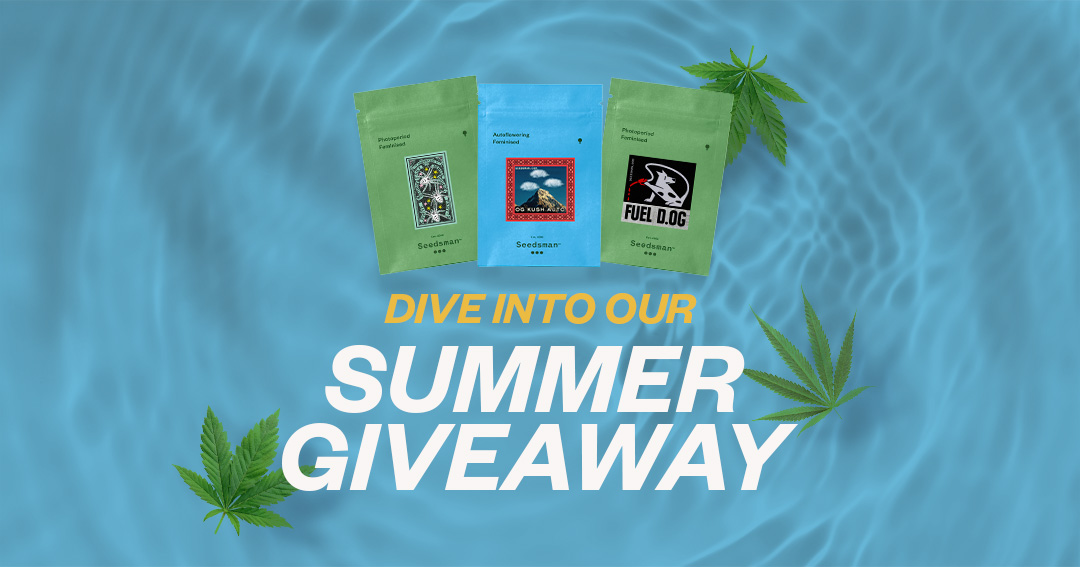 SeedsmanSeeds's tweet photo. 🏆 The third week of our #SummerSelection competition is complete and the winner is Jesse S... Congrats! 

We've already sent you a message to work out where to send your prize. 💚 

👉 Don't be discouraged if you haven't won, you can try again! https://t.co/uf8gx1YEz0 https://t.co/BpCvaxXget
