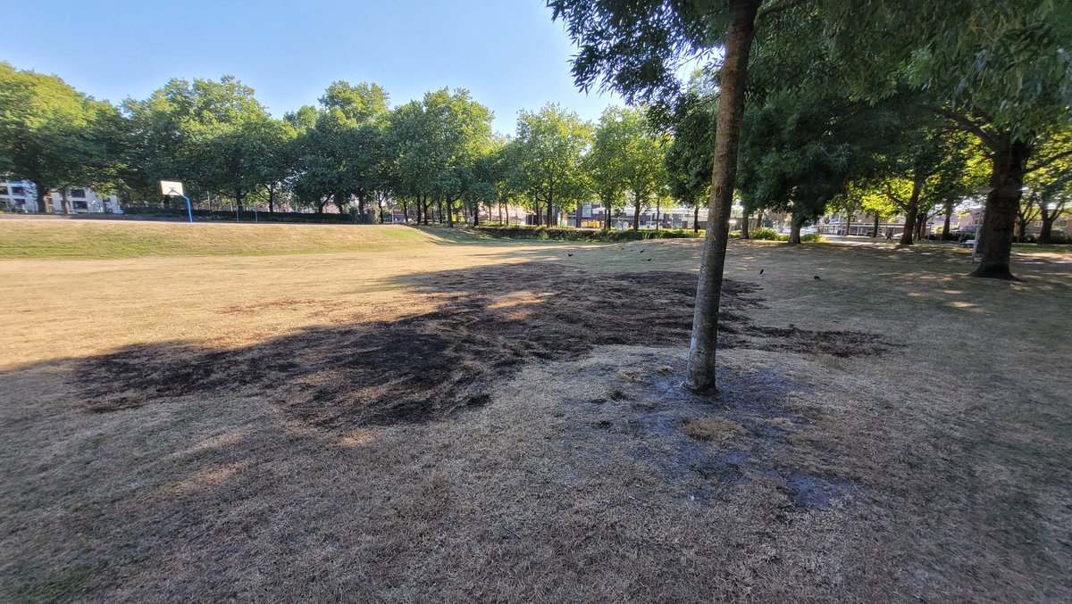 prindt's tweet photo. Nog nooit zoiets gezien. Stuk gras afgebrand in het park in mijn wijk. Dan weet je dat het echt droog is.
.
#watertekort https://t.co/YP1BOEcyFJ