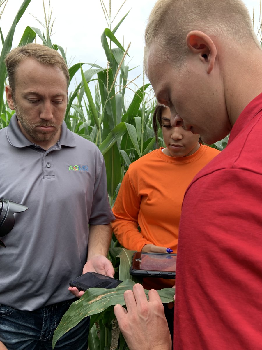 Good weather, good company = a good day in the field for Intelinair Agronomy Advisor Sean Mylet as he worked alongside @CoAllianceCoop Agronomy Digital Lead Cody Volz and Co-Alliance Interns Kyla Smith and Parker Hacker. #AGMRI #fieldscouting