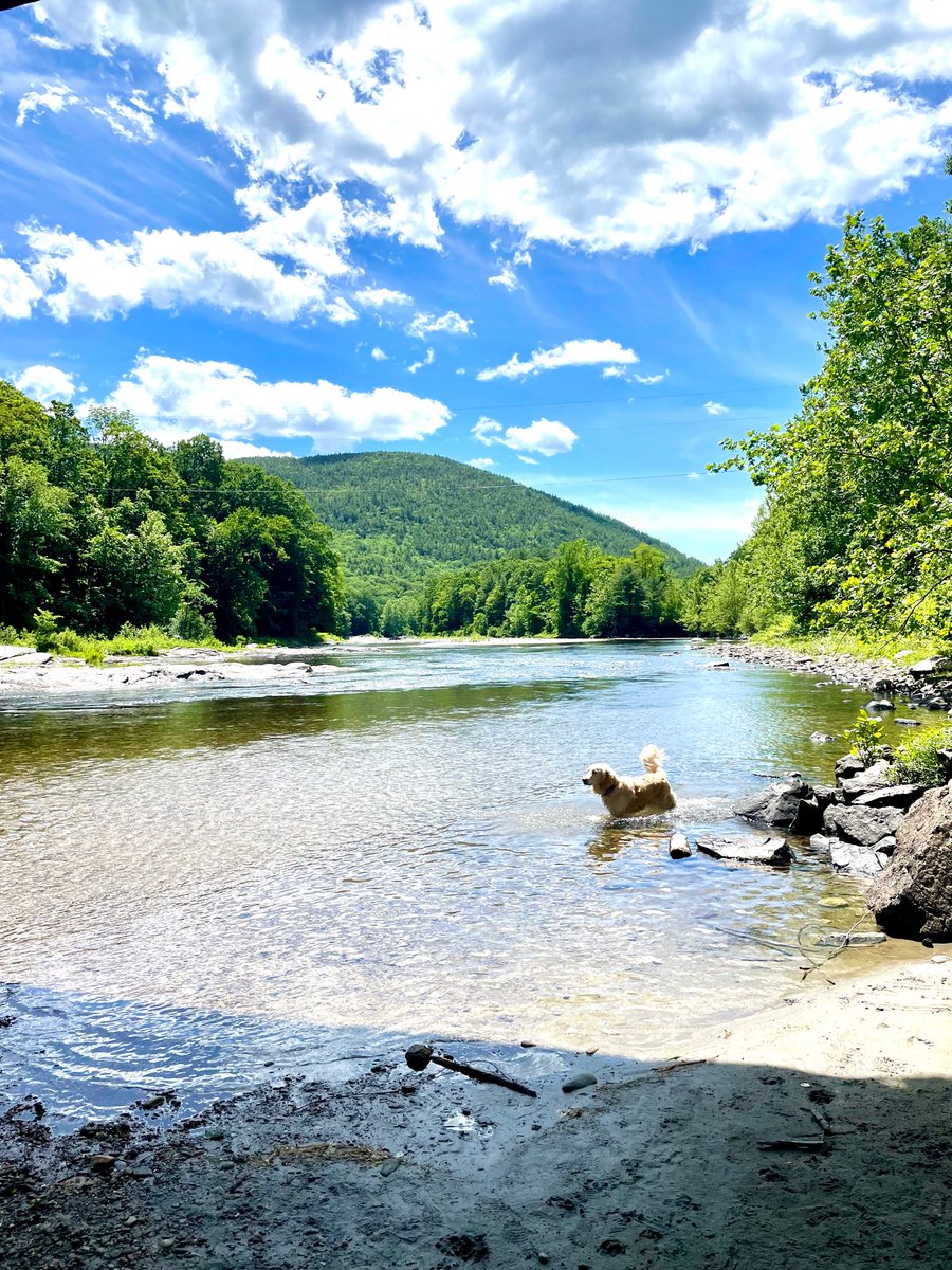 janetryu's tweet photo. Summer in Vermont https://t.co/cMCuud2mI3